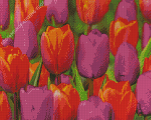 Orange Purple Tulips Diamond Paintings