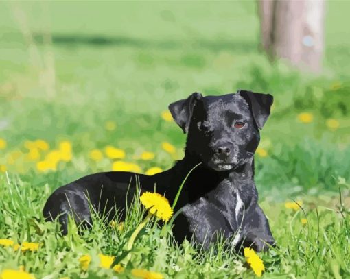 Patterdale Terrier Dog Animal Diamond Paintings