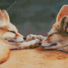 Sleepy Fox Couple Diamond Paintings