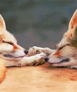 Sleepy Fox Couple Diamond Paintings