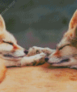 Sleepy Fox Couple Diamond Paintings