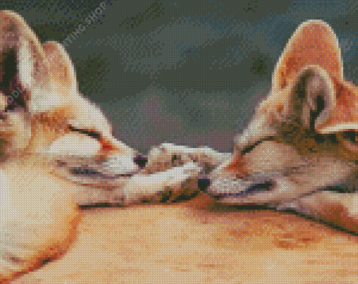 Sleepy Fox Couple Diamond Paintings