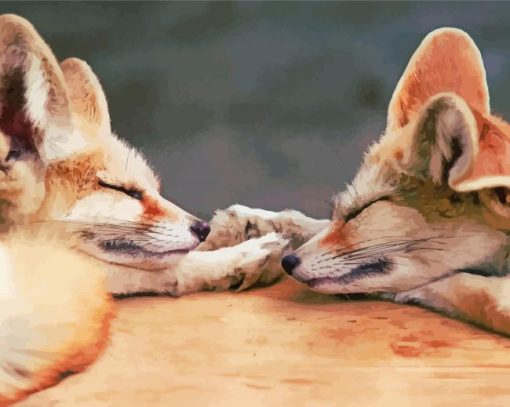 Sleepy Fox Couple Diamond Paintings