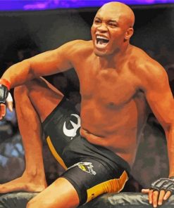 The Boxer Anderson Silva Diamond Paintings