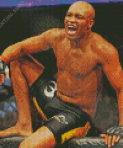 The Boxer Anderson Silva Diamond Paintings