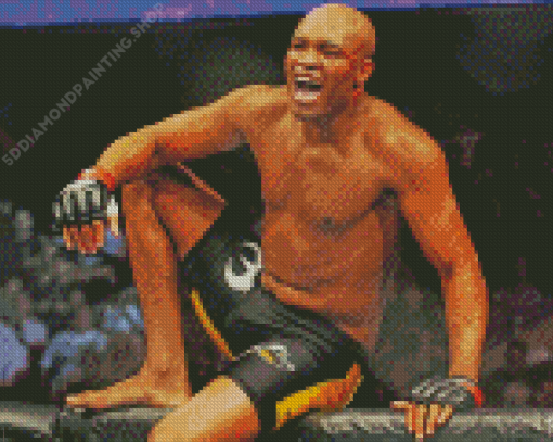 The Boxer Anderson Silva Diamond Paintings