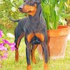 The Manchester Terrier Dog Diamond Paintings