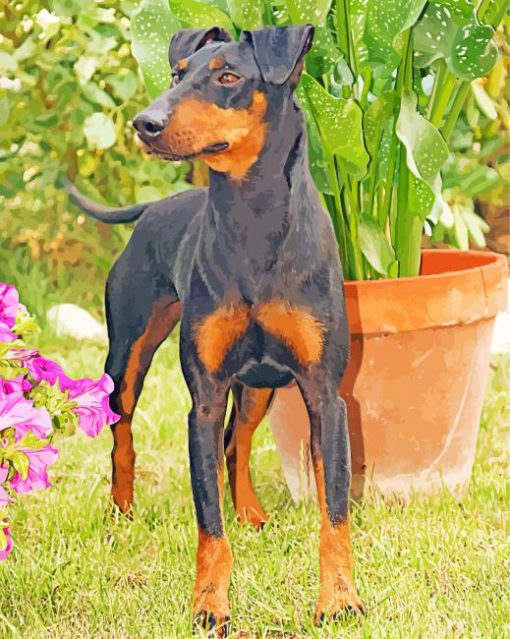 The Manchester Terrier Dog Diamond Paintings