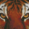 Tiger Look Diamond Paintings