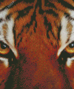 Tiger Look Diamond Paintings