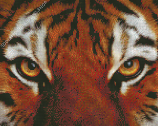 Tiger Look Diamond Paintings