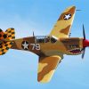 WW II Fighter Plane Diamond Paintings