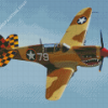 WW II Fighter Plane Diamond Paintings