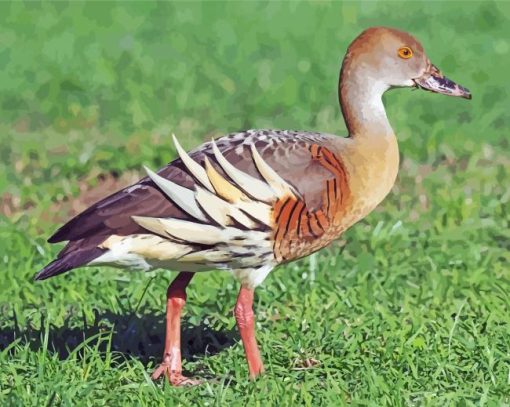 Whistling Duck Bird Diamond Paintings