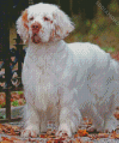 White Clumber Spaniel Dog Diamond Paintings