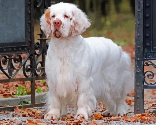 White Clumber Spaniel Dog Diamond Paintings