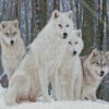 Wintry Wolves In Snow Diamond Paintings