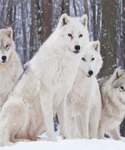 Wintry Wolves In Snow Diamond Paintings