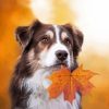 Aesthetic Dog In Autumn Diamond Paintings