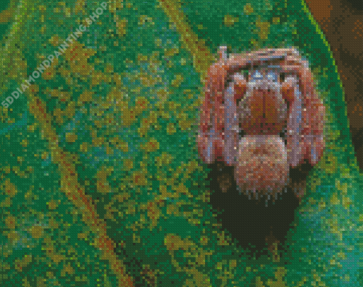 Aesthetic Huntsman Spider Diamond Paintings