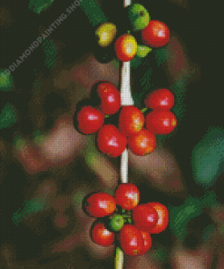 Aesthetic Tree Coffee Plant Diamond Paintings