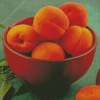 Apricot Food Diamond Paintings