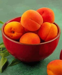 Apricot Food Diamond Paintings