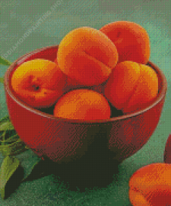 Apricot Food Diamond Paintings