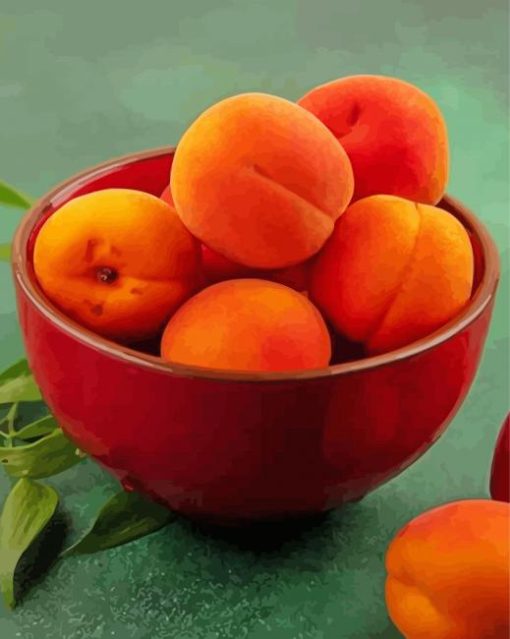 Apricot Food Diamond Paintings