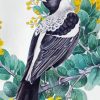 Australian Magpie Diamond Paintings