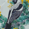 Australian Magpie Diamond Paintings