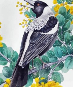 Australian Magpie Diamond Paintings