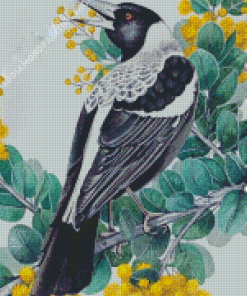 Australian Magpie Diamond Paintings