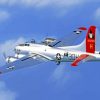 B17 Aluminum Overcast Bomber Diamond Paintings