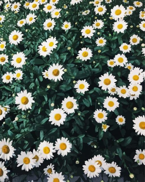 Beautiful Field Of Daisies Diamond Paintings