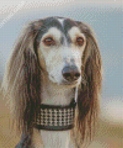 Beautiful Saluki Dog Diamond Paintings