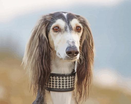 Beautiful Saluki Dog Diamond Paintings