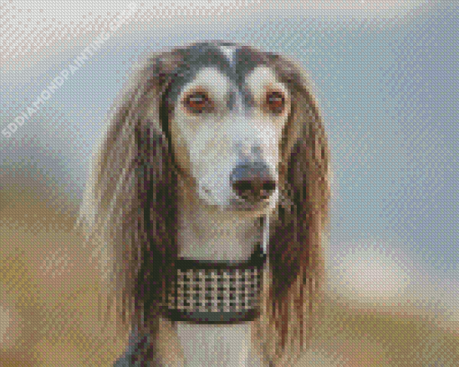 Beautiful Saluki Dog Diamond Paintings