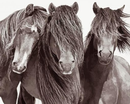 Black And White Sable Island Horses Diamond Paintings