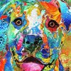 Colorful Abstract Pitbull Dog Diamond Paintings