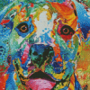 Colorful Abstract Pitbull Dog Diamond Paintings