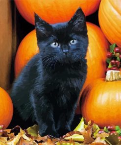 Cute Black Halloween Cat Diamond Paintings