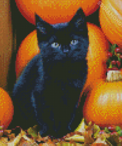 Cute Black Halloween Cat Diamond Paintings