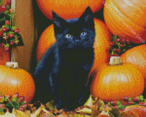 Cute Black Halloween Cat Diamond Paintings