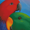 Eclectus Parrots Heads Diamond Paintings