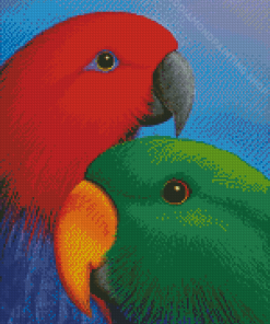 Eclectus Parrots Heads Diamond Paintings