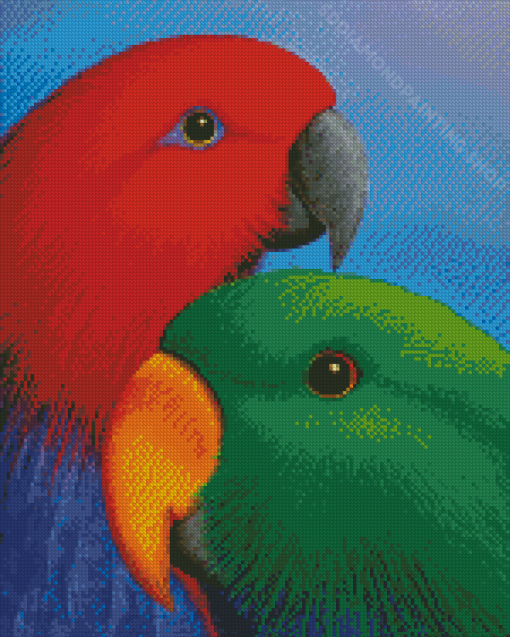 Eclectus Parrots Heads Diamond Paintings