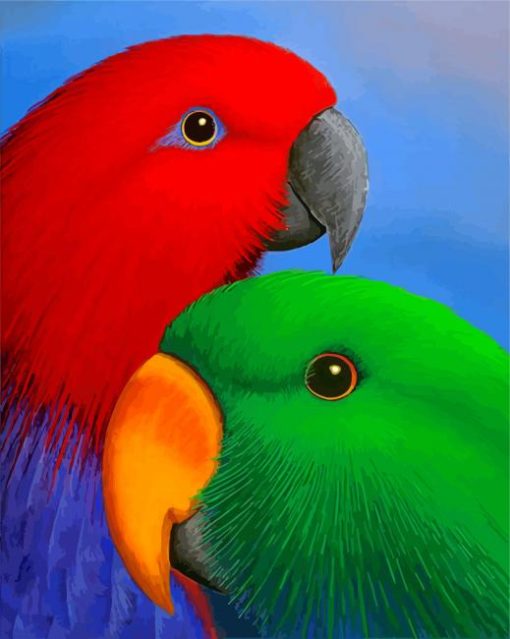 Eclectus Parrots Heads Diamond Paintings