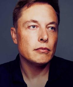 Elon Musk Diamond Paintings