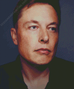 Elon Musk Diamond Paintings